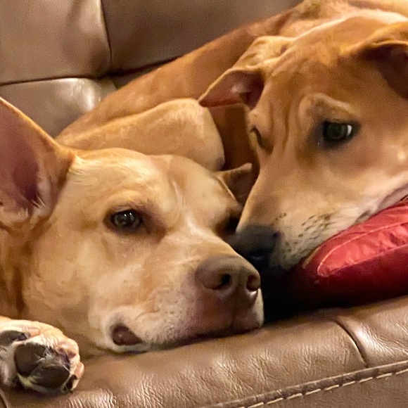 Meet your Posher, Jessica - Picture 2 of 6